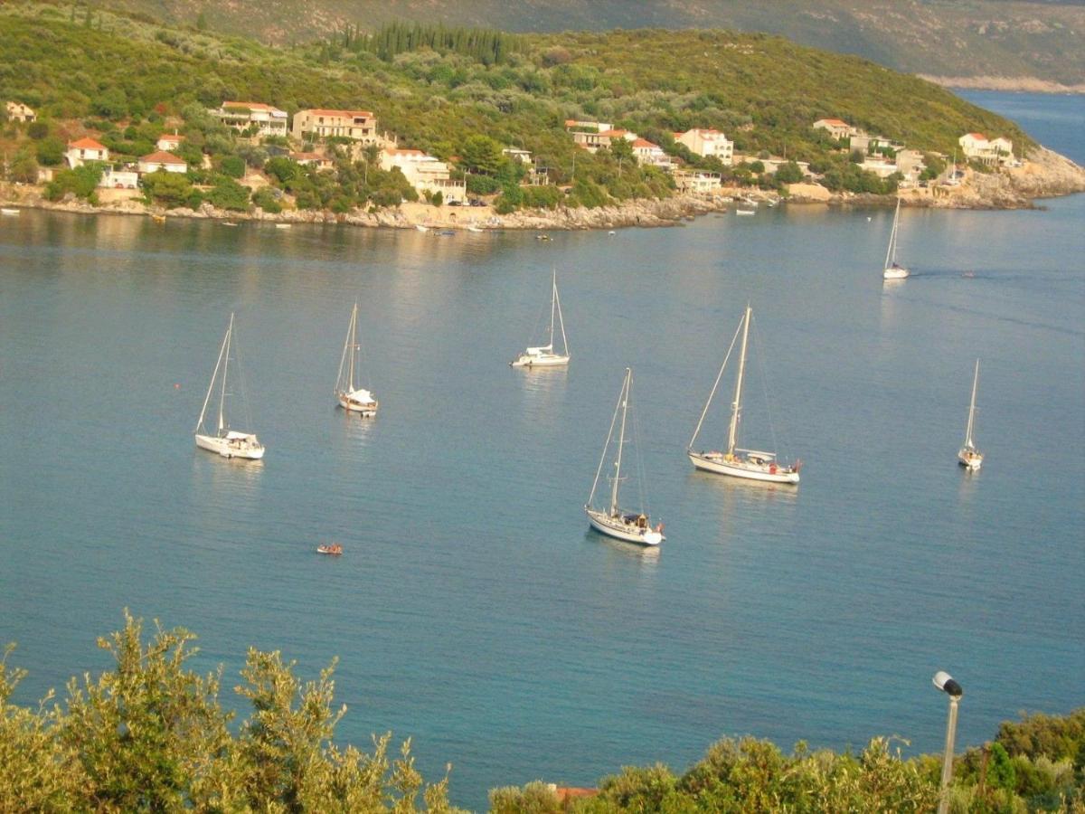 Apartments Mara Molunat Dış mekan fotoğraf